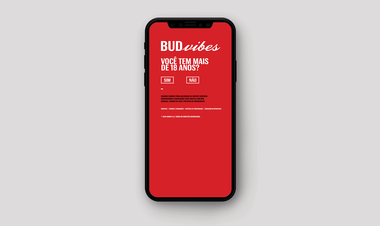 Animação da experiência de inscrição na plataforma Budvibes